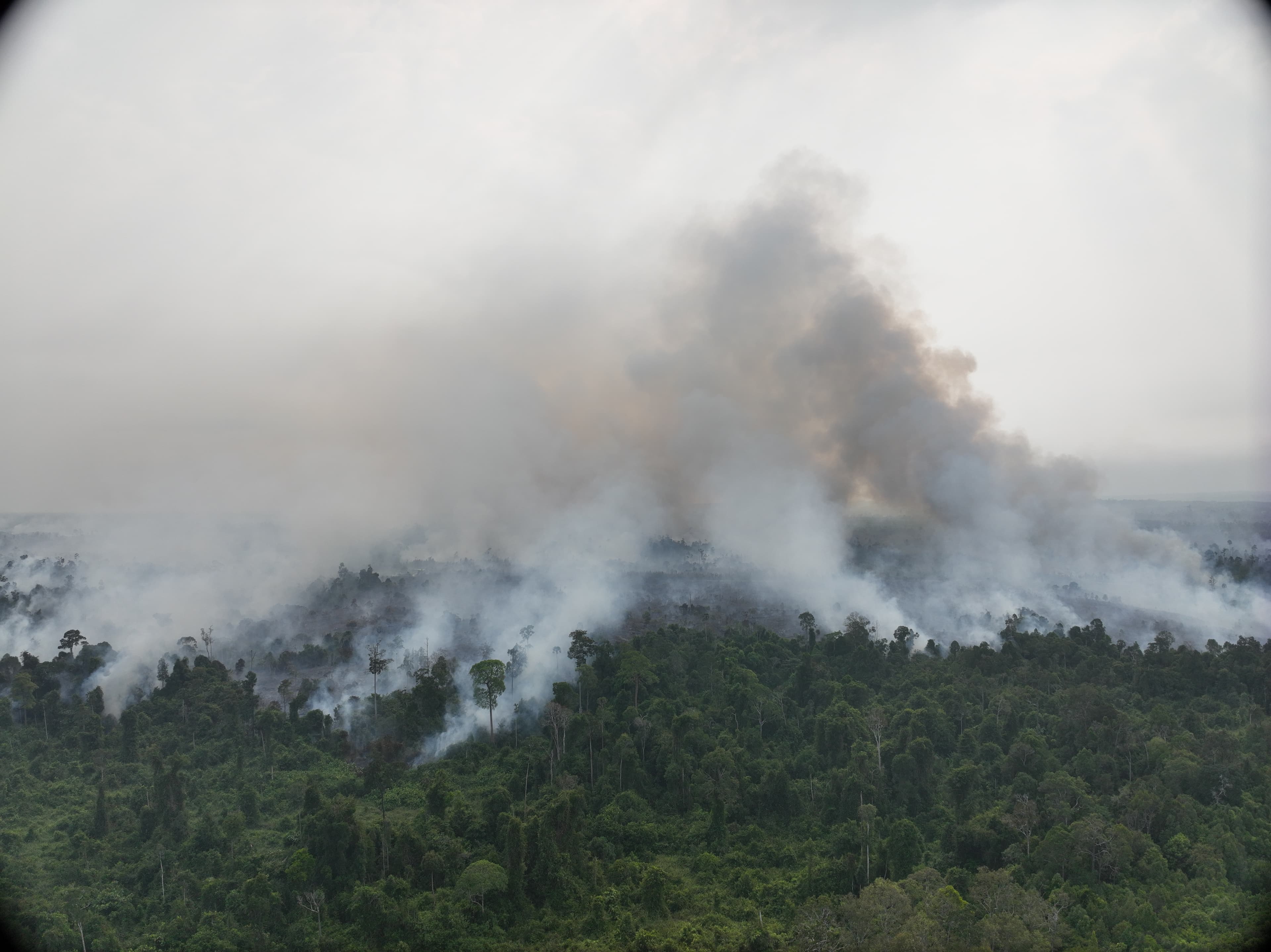 Betahutan