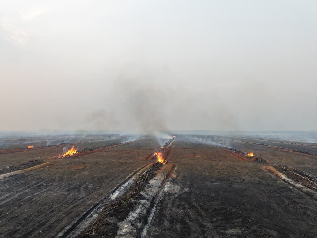 Solidaritas Merauke